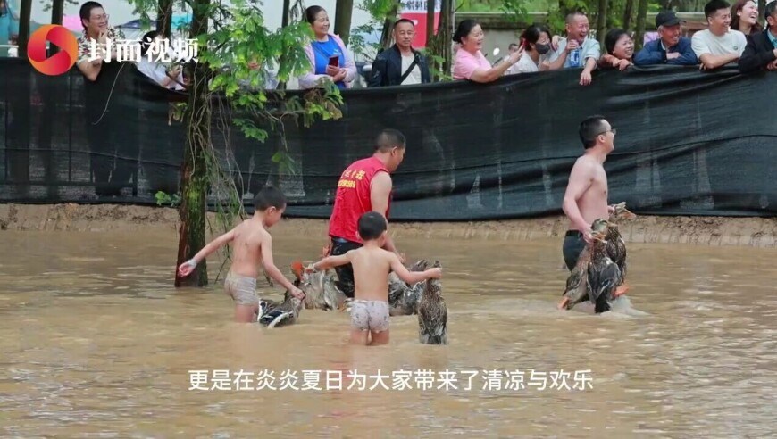丁克婚姻20年丈夫竟和别人生子,香港正版资料大全免费版,成语解释落实可能存在的问题_试用版V11.46